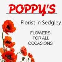 Poppys 1063381 Image 0